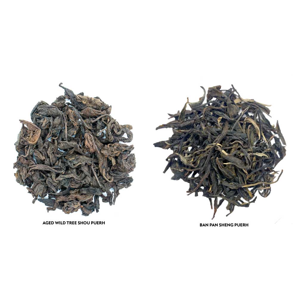 The Great Teas of China Tea Sampler Set