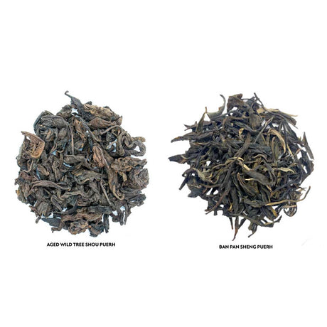 The Great Teas of China Tea Sampler Set