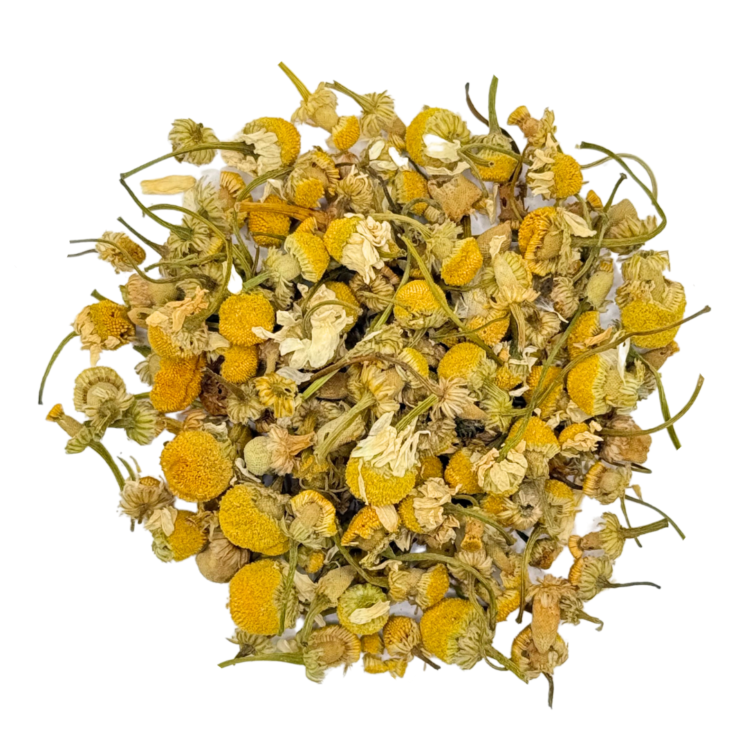 Chamomile Blossoms