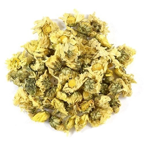 Chrysanthemum Blossoms