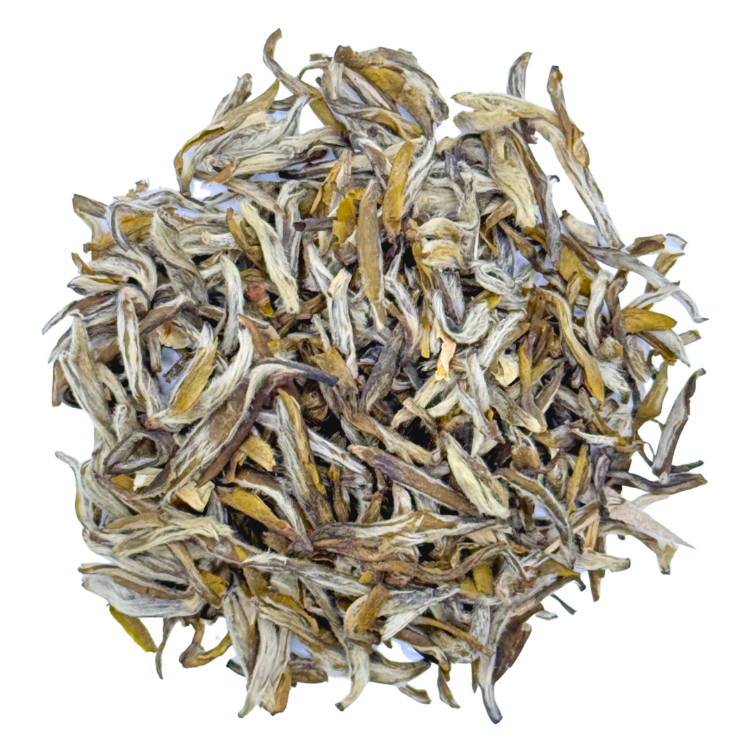 Imperial Gold and Silver Tip Jasmine White Tea